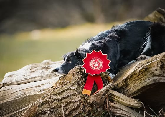 Rosette