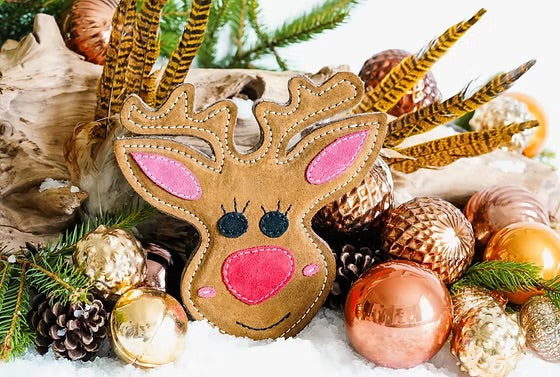 Rudy the Reindeer