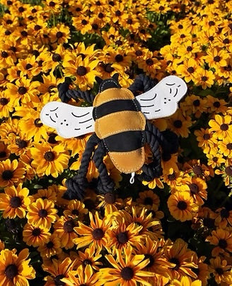 Bessie the Bee