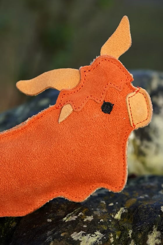 Hamish the Highland Cow