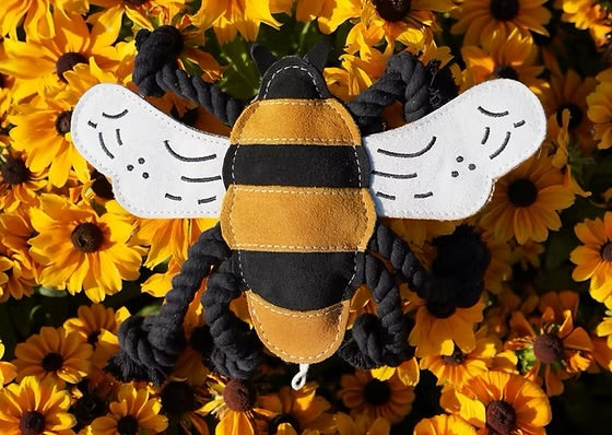 Bessie the Bee
