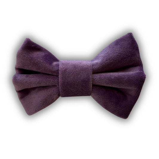 Purple Velvet Bow