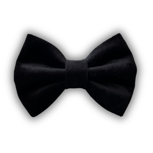 Black Velvet Bow