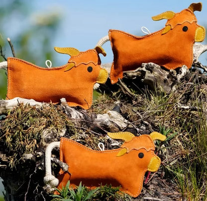 Hamish the Highland Cow
