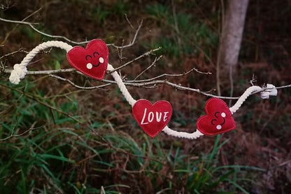 Rope Hearts