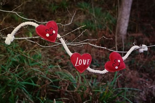 Rope Hearts