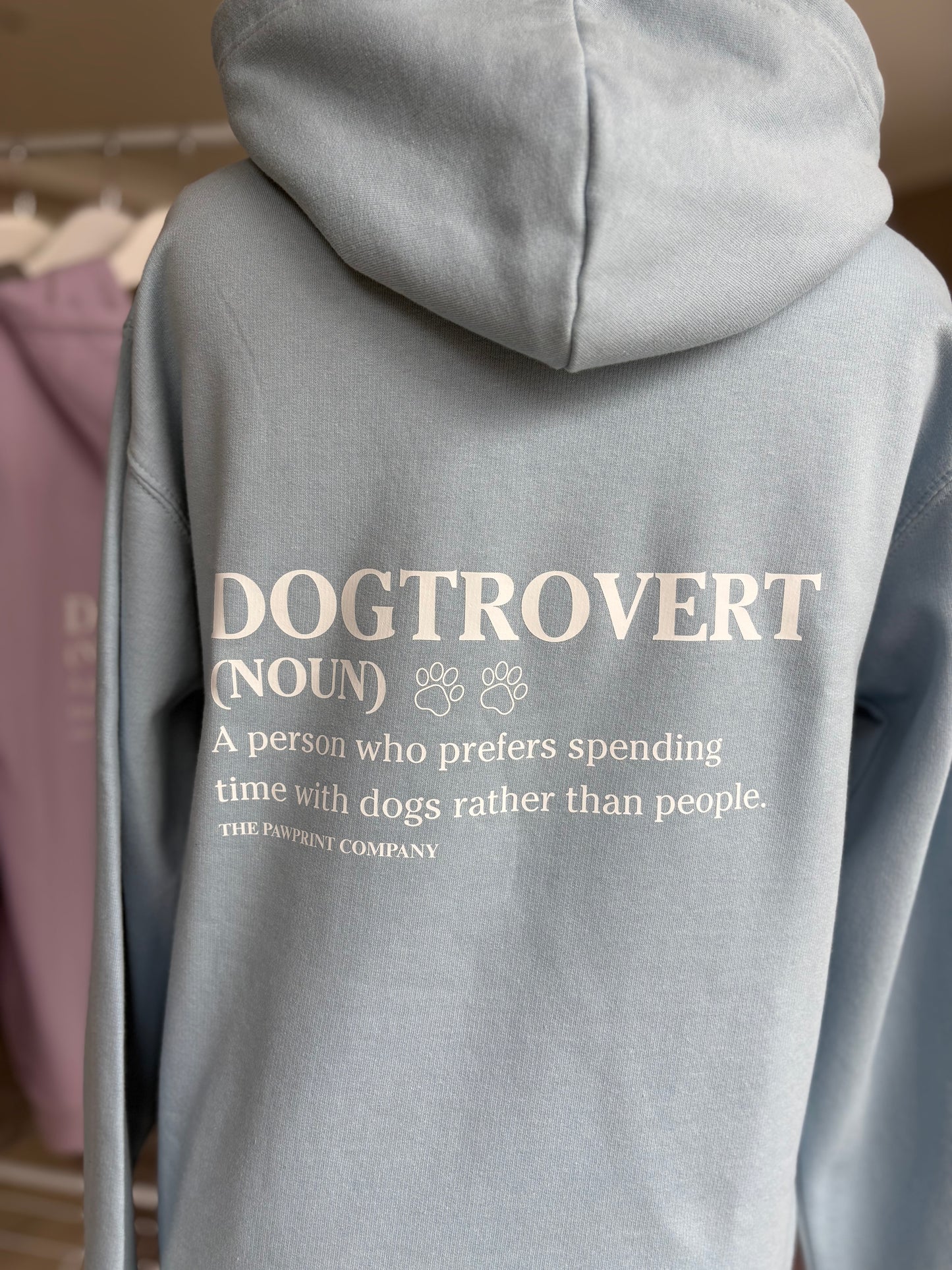 Sky Blue Dogtrovert Printed Hoodie
