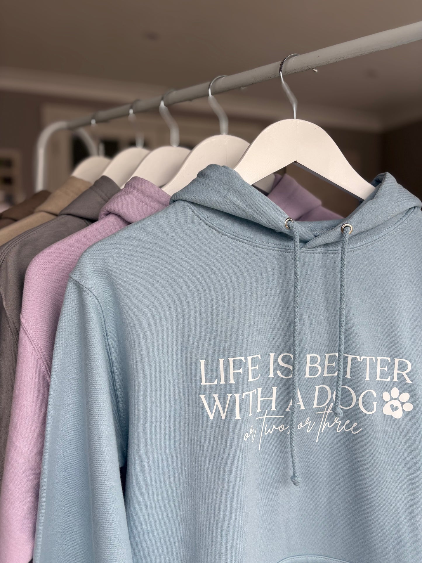 Sky Blue Life is Better With A Dog Printed Hoodie