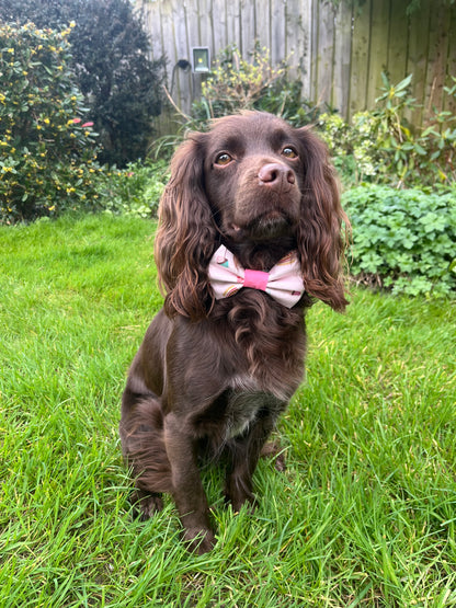 Pupcakes Bow