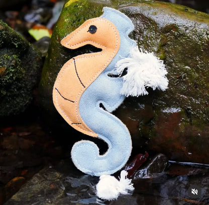 Shelly the Seahorse