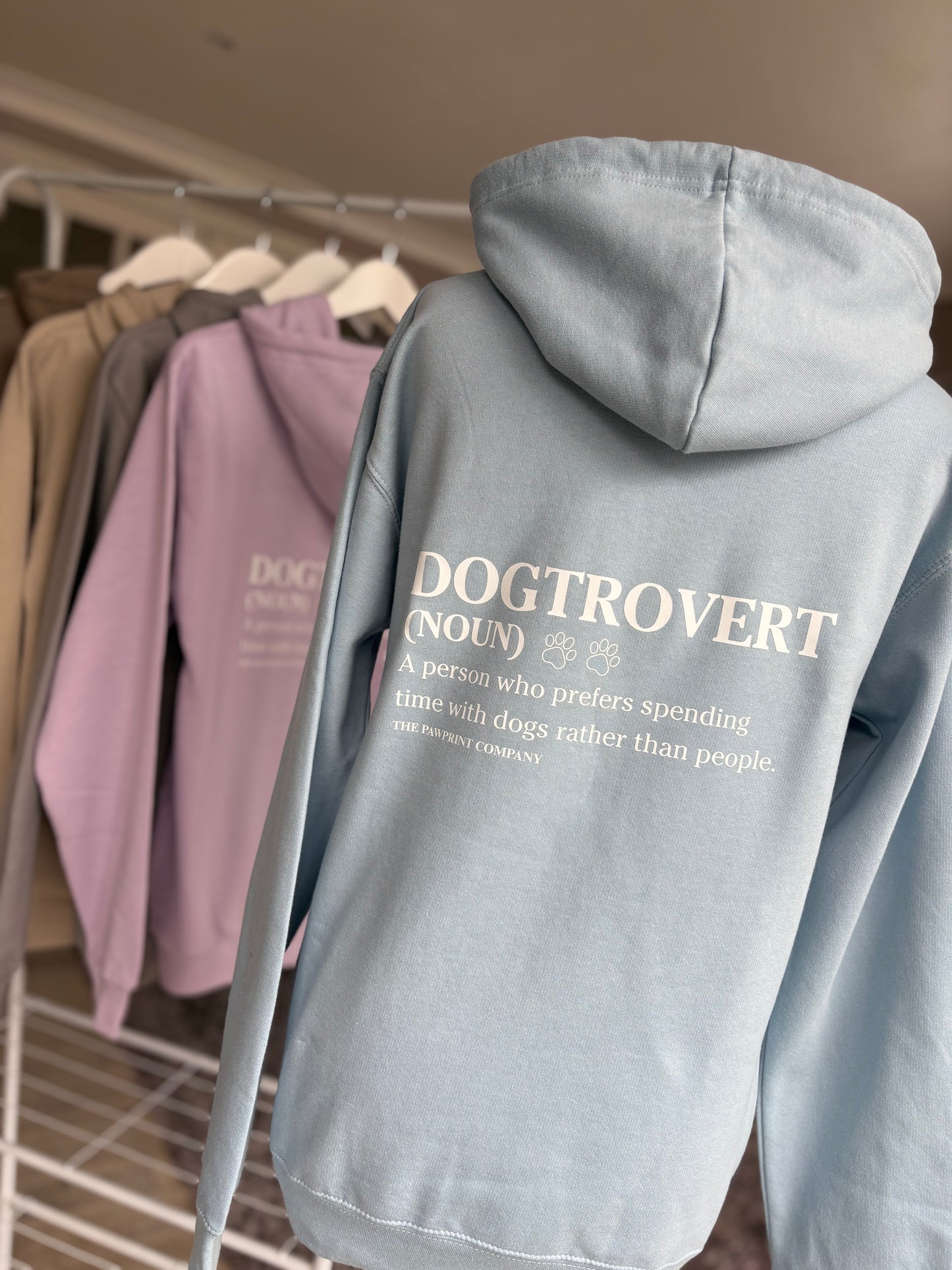 Sky Blue Dogtrovert Printed Hoodie