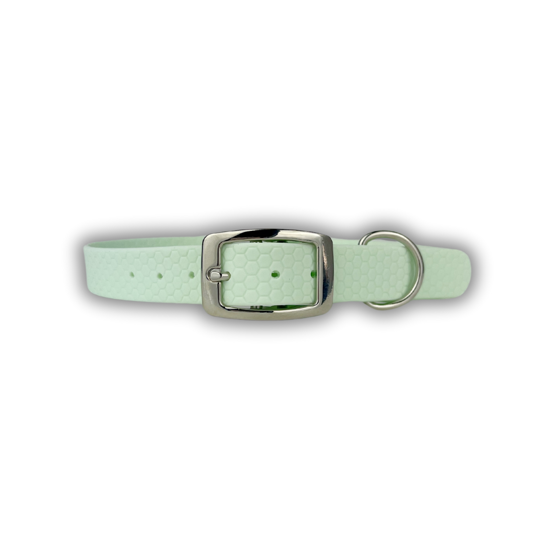 Waterproof Collar Mint