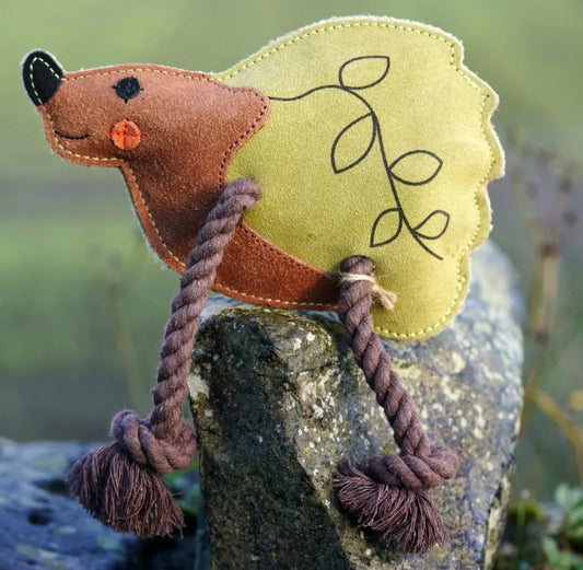 Holly the Hedgehog
