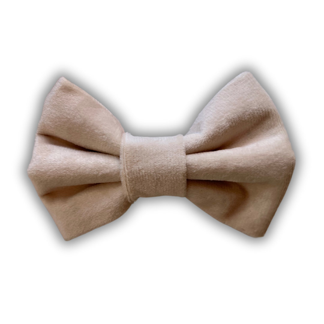 Ivory Velvet Bow