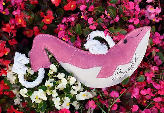 Minky the Whale